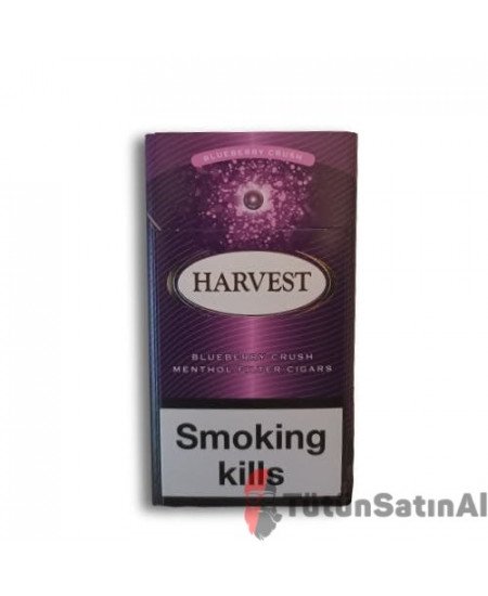 Harvest Sigara Super Slim Blueberry Crush İthal Sigara Harvest Sigara Super Slim Blueberry Crush İthal Sigara
