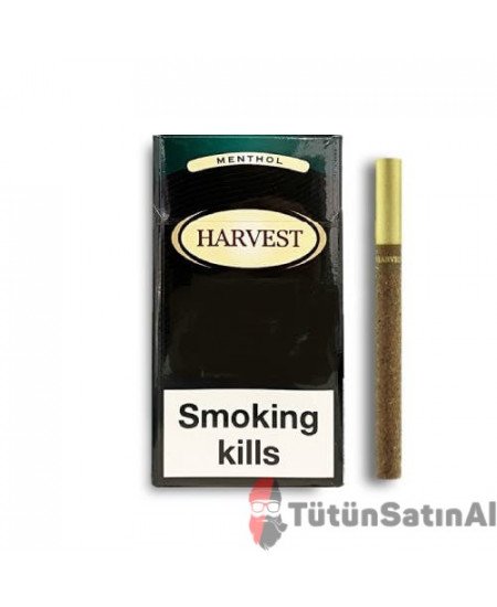 Harvest Sweet Menthol Little (Mentol) İthal Sigara satın al Harvest Sweet Menthol Little (Mentol) İthal Sigara satın al