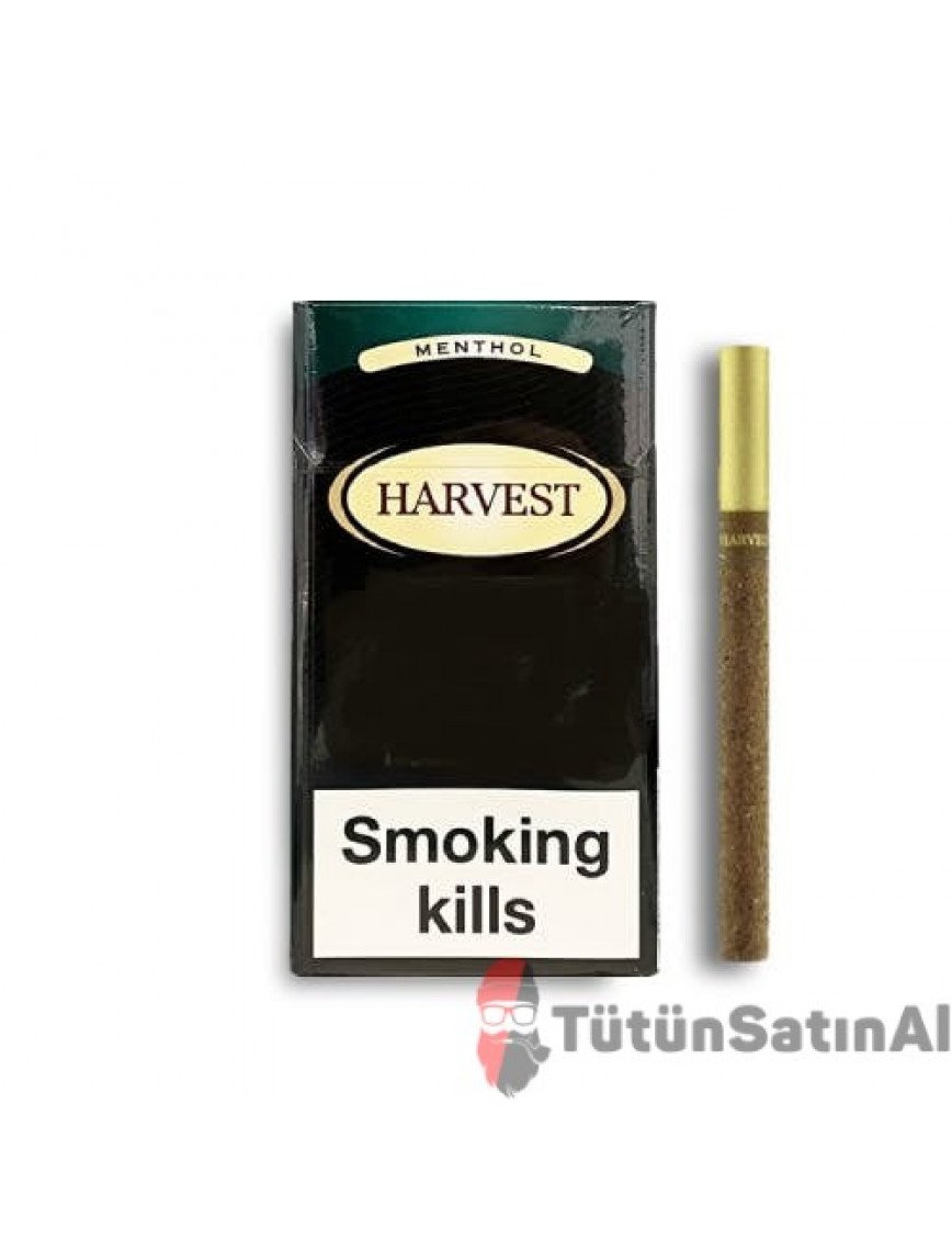 Harvest Sweet Menthol Little (Mentol) İthal Sigara satın al Harvest Sweet Menthol Little (Mentol) İthal Sigara satın al