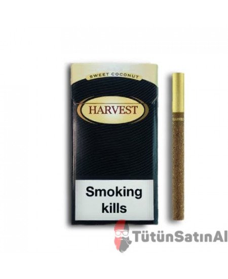 Harvest Sweet Coconut Little (Hindistan Cevizi) İthal Sigara Satın al Harvest Sweet Coconut Little (Hindistan Cevizi) İthal Sigara Satın al