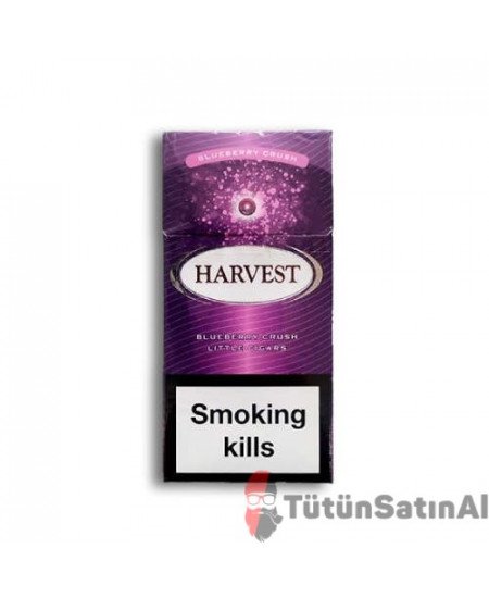Harvest Blueberry Crush Little (Yaban Mersinli) Harvest Blueberry Crush Little (Yaban Mersinli)