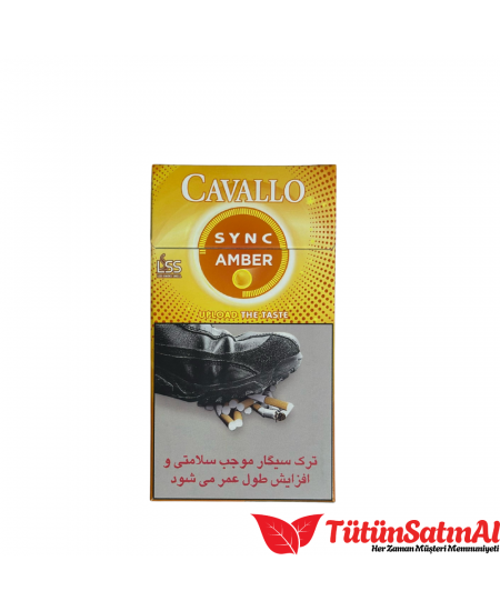 Cavallo Sync amber Cavallo Sync amber