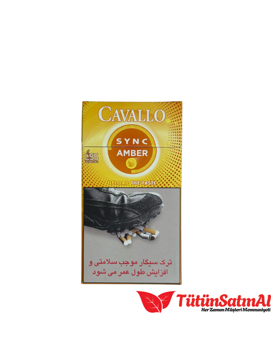 Cavallo Sync amber