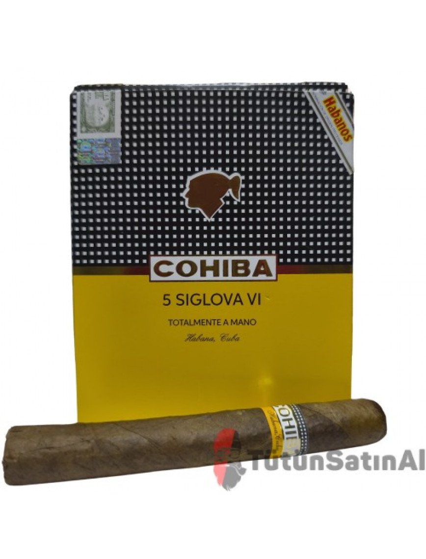 Cohiba Siglo VI Totalmente A Mano Gift Pack (REPLİKA)