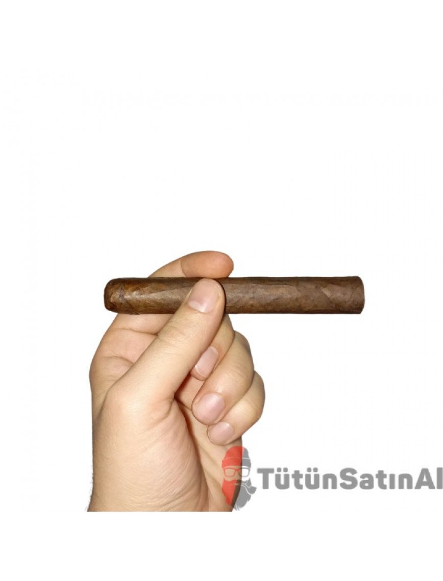 Mj Frias Cigars Robusto (5x50)