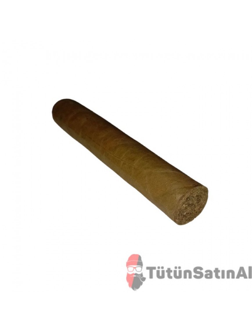 Mj Frias Cigars Grand Torpedo (7×60) Mj Frias Cigars Grand Torpedo (7×60)