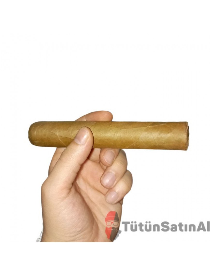 Mj Frias Cigars Grand Torpedo (7×60) Mj Frias Cigars Grand Torpedo (7×60)