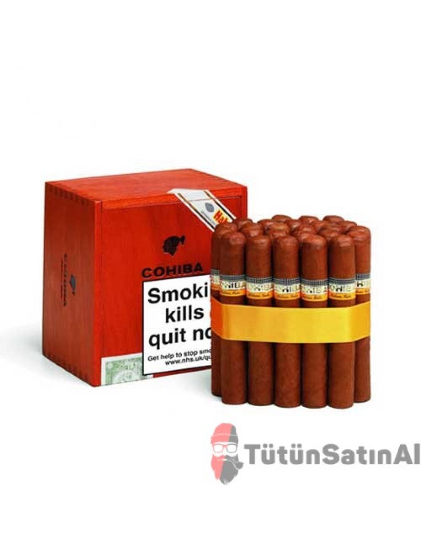 Cohiba Robustos Puro satın al - 25'li Ahşap Kutu