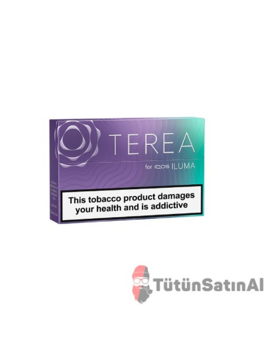 TEREA Mauve IQOS Iluma